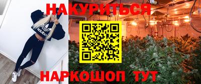 прущая мука Кингисепп