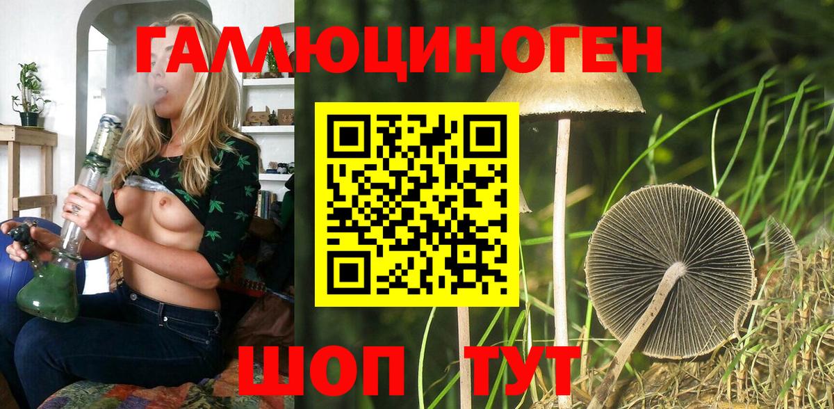 Кизляр  Псилоцибиновые грибы GOLDEN TEACHER  Вход с VPN 