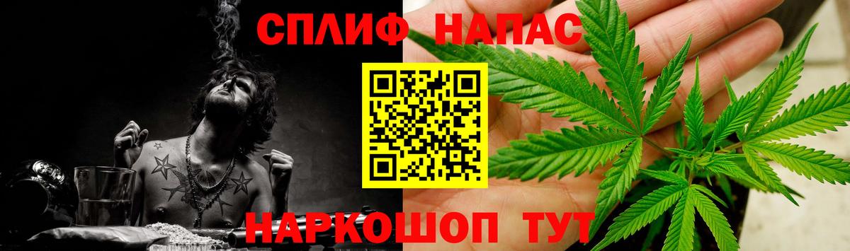 Конопля гибрид  Бошки марихуана MAZAR  Кизляр  Конопля сатива  Вход с VPN 